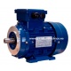 MOTOR TRIF. 0.75CV 3000 RPM PATAS Y BRIDA B14 220/380V MSATX712-2 B34