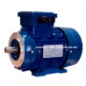MOTOR TRIF. 0.75CV 3000 RPM PATAS Y BRIDA B14 220/380V MSATX712-2 B34