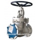 VALVULA GLOBO HIERRO FUNDIDO BONNEY FORGE 6"-150 WCB