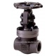 VALVULA GLOBO HIERRO FUNDIDO BONNEY FORGE 1"-800 A105N AACV