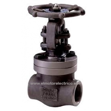 VALVULA GLOBO HIERRO FUNDIDO BONNEY FORGE 1"-800 A105N AACV