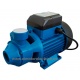 BOMBA PERIFERICA MONOF. 1 CV MODELO. PH 100 PYD