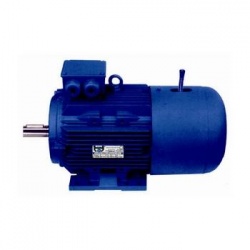 MOTOR FRENO 4 CV 1500 RPM PATAS B3 220/380 V AC Black Thunder YEJ100L2-4 B3