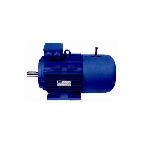 MOTOR FRENO 4 CV 1500 RPM PATAS B3 220/380 V AC Black Thunder YEJ100L2-4 B3