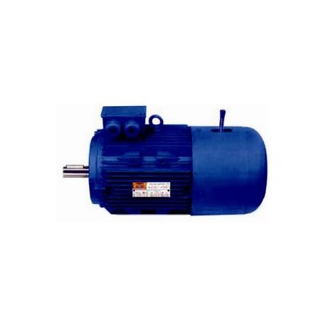 MOTOR FRENO 1 CV 1500 RPM BRIDA B14 220/380 V AC Black Thunder YEJ802-4 B14