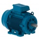 MOTOR P/I 25 CV 1500 R.P.M. PATAS B3 380/660V WEG W22 HIGH 160L-04 B3 EFF. IE2