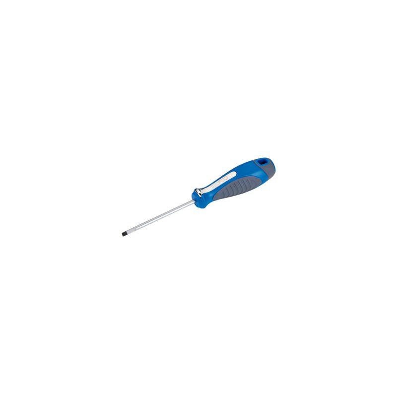 DESTORNILLADOR PLANO RECTO 4x0.8x100 mm ALYCO.