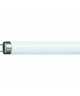 TUBO FLUORESCENTE 36W