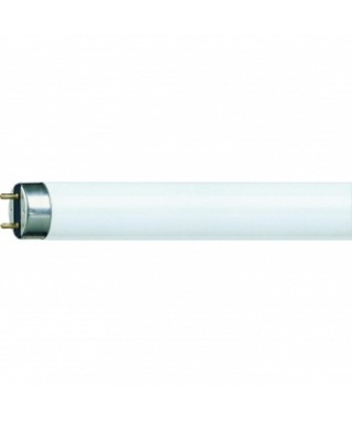 TUBO FLUORESCENTE 36W