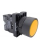 PULSADOR AMARILLO RF.P9XPNGG+CONTACTO CERRADO NO REF.P9B01VN  