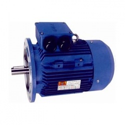 MOTOR TRIF. 1 CV 3000 RPM BRIDA B5 220/380V Black Thunder MS801-2 B5