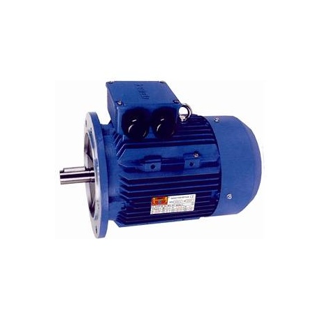 MOTOR TRIF. 40 CV 3000 RPM BRIDA B5 220/380V Black Thunder SDF200L1-2 B5