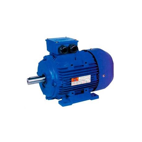 MOTOR TRIF. 0.12CV 1500 RPM PATAS B3 220/380V Black Thunder MS562-4 B3