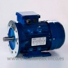 MOTOR TRIF. 3 CV 1500 RPM BRIDA B14 Y PATAS B3 220/380 V MSATX100L1-4 B34