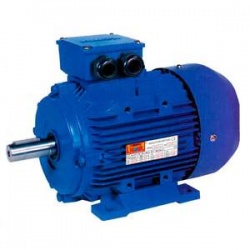 MOTOR TRIF. 4 CV 1000 RPM PATAS B3 220/380V Black Thunder MS132S-6 B3