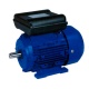 MOTOR MONOF. MEDIO PAR 0.5CV 3000 RPM PATAS B3 220V Black Thunder MY711-2 B3