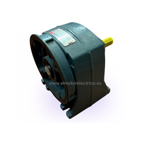 REDUCTOR IPC 162 R:25,9 PAM 200-24 EJE SALIDA 38 MM PUJOL